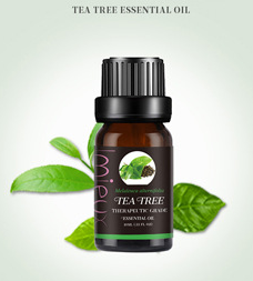 Spa and Aromatherapy Essential oils