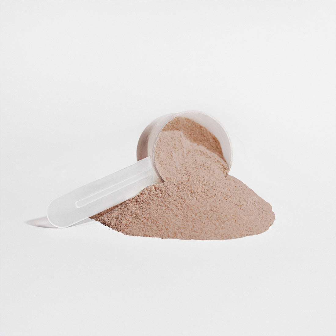 Lang Wellness Plant Protein (Chocolate)