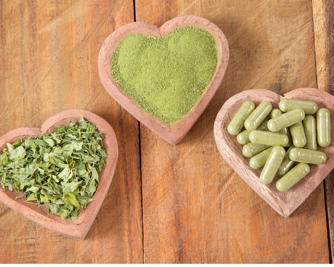 My Balance Organic Moringa Oleifera - Ancient Discovery